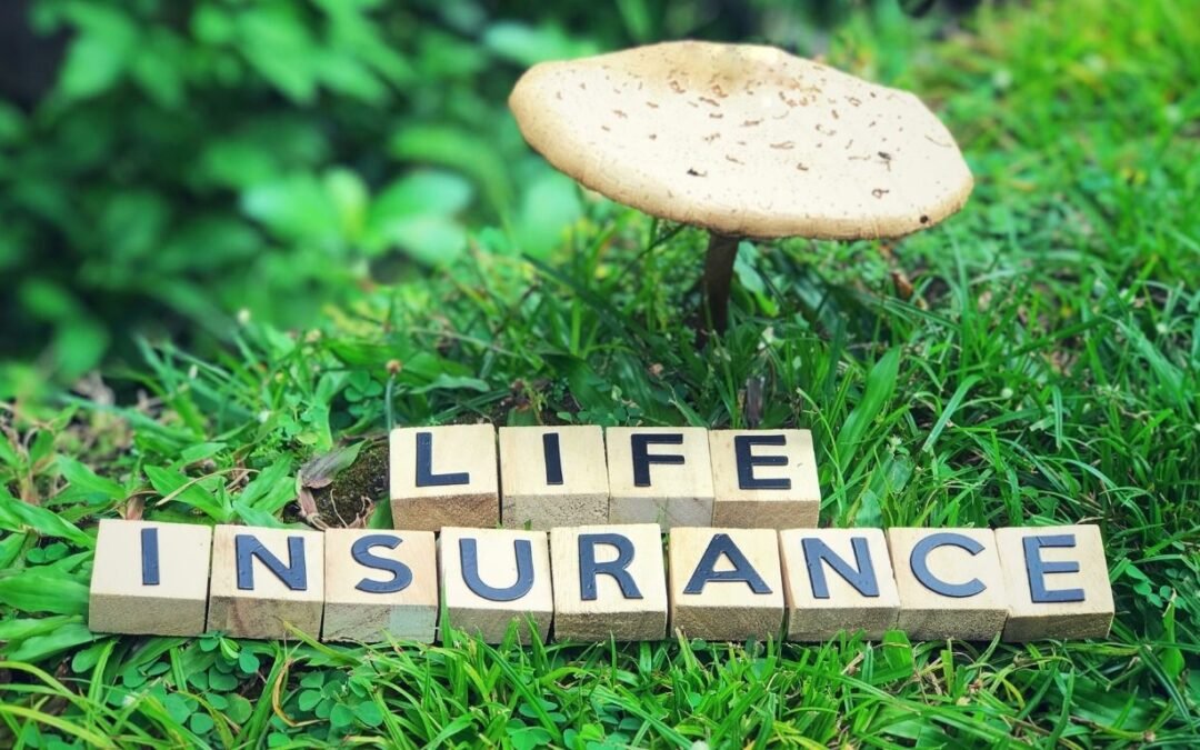 Debt Collection and Life Insurance: What Every Policyholder Should Know
